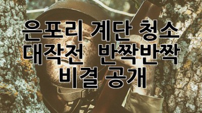 은포리 계단 청소 대작전! ✨ 반짝반짝 비결 공개
